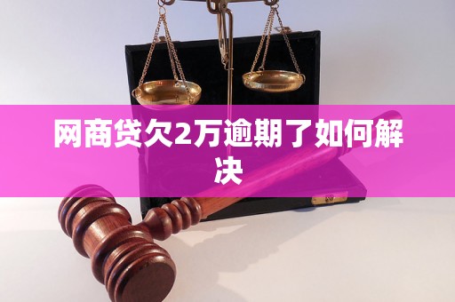 网商贷欠2万逾期了如何解决