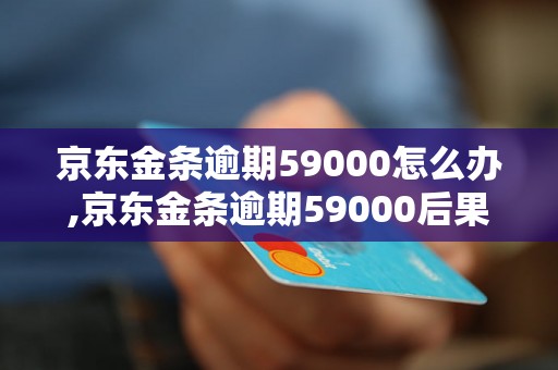 京东金条逾期59000怎么办,京东金条逾期59000后果及处理方法