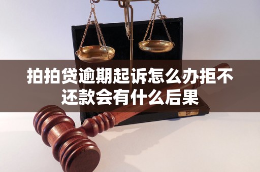 拍拍贷逾期起诉怎么办拒不还款会有什么后果