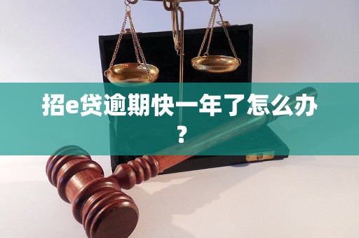 招e贷逾期快一年了怎么办？