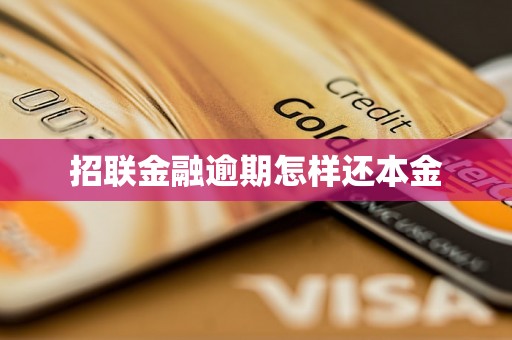 招联金融逾期怎样还本金