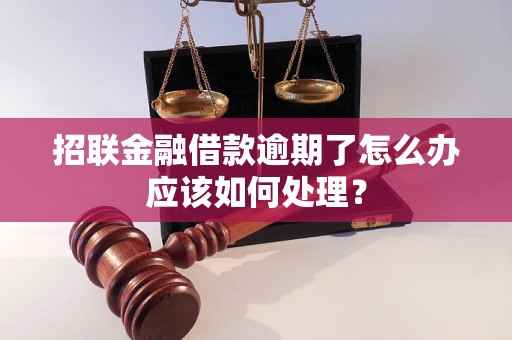 招联金融借款逾期了怎么办应该如何处理？