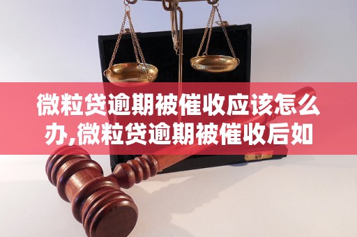 微粒贷逾期被催收应该怎么办,微粒贷逾期被催收后如何应对