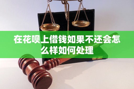 在花呗上借钱如果不还会怎么样如何处理