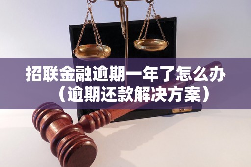 招联金融逾期一年了怎么办（逾期还款解决方案）