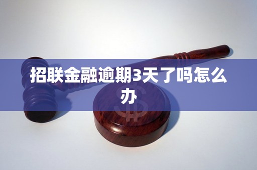 招联金融逾期3天了吗怎么办