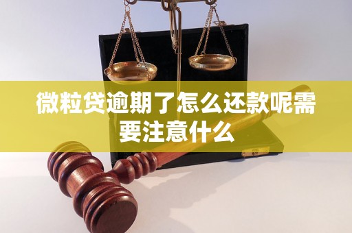 微粒贷逾期了怎么还款呢需要注意什么