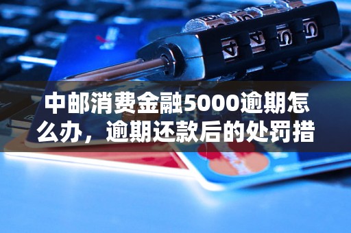 中邮消费金融5000逾期怎么办，逾期还款后的处罚措施是什么？