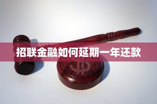 招联金融如何延期一年还款