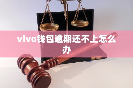 vivo钱包逾期还不上怎么办