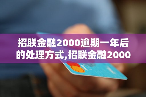 招联金融2000逾期一年后的处理方式,招联金融2000逾期一年的后果及解决方法