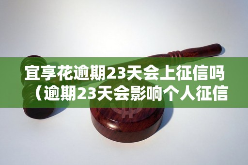 宜享花逾期23天会上征信吗（逾期23天会影响个人征信吗）