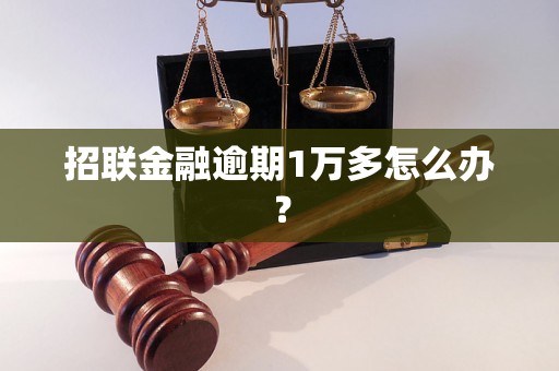 招联金融逾期1万多怎么办？