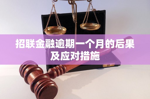 招联金融逾期一个月的后果及应对措施