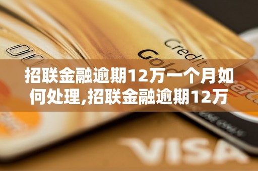 招联金融逾期12万一个月如何处理,招联金融逾期12万一个月后果严重吗