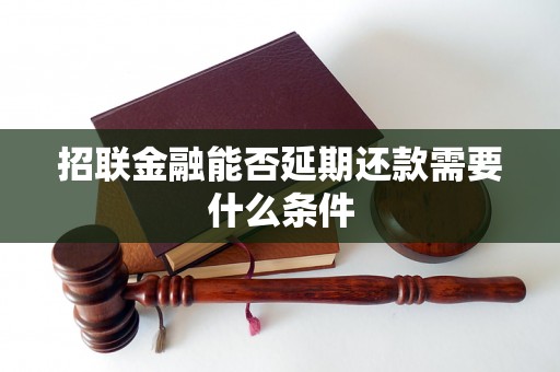 招联金融能否延期还款需要什么条件