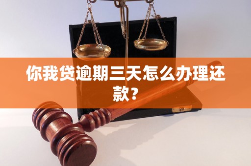 你我贷逾期三天怎么办理还款？