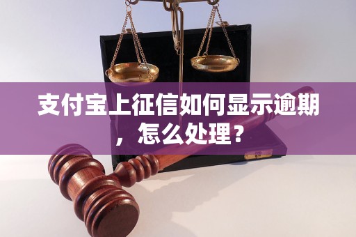 支付宝上征信如何显示逾期，怎么处理？