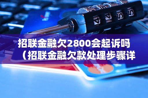 招联金融欠2800会起诉吗（招联金融欠款处理步骤详解）