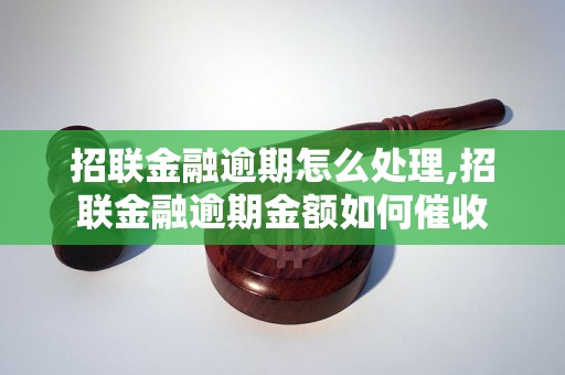 招联金融逾期怎么处理,招联金融逾期金额如何催收