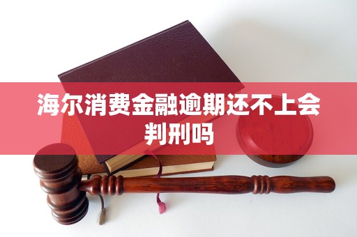 海尔消费金融逾期还不上会判刑吗