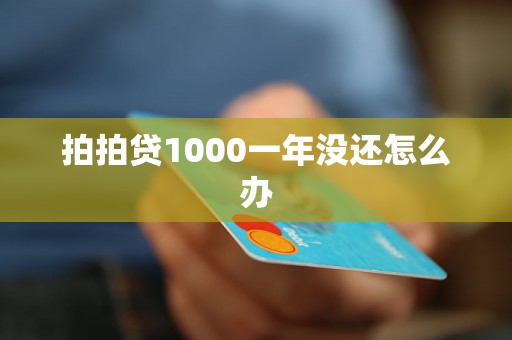 拍拍贷1000一年没还怎么办