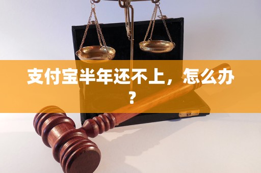 支付宝半年还不上，怎么办？