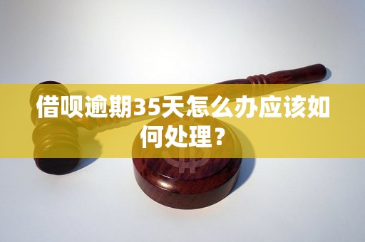 借呗逾期35天怎么办应该如何处理？