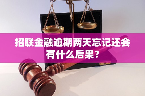 招联金融逾期两天忘记还会有什么后果？