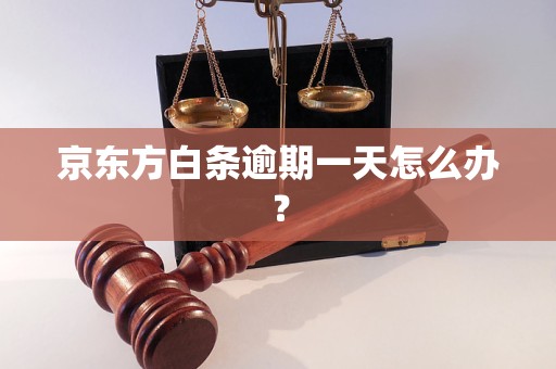 京东方白条逾期一天怎么办？