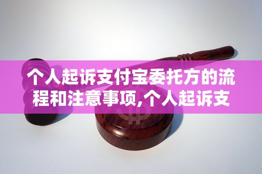 个人起诉支付宝委托方的流程和注意事项,个人起诉支付宝委托方的法律依据