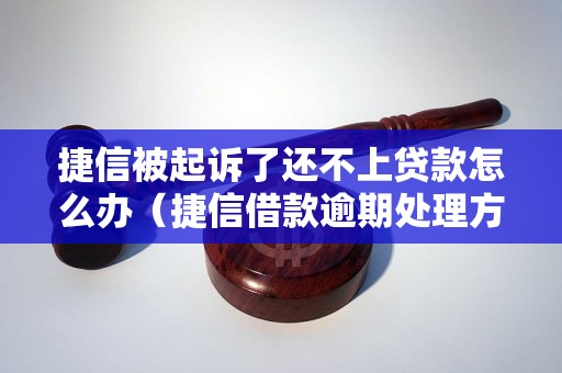 捷信被起诉了还不上贷款怎么办（捷信借款逾期处理方法）