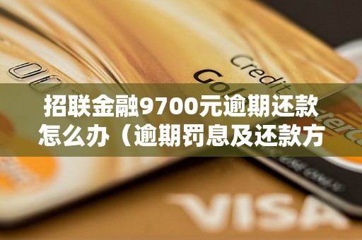 招联金融9700元逾期还款怎么办（逾期罚息及还款方式）