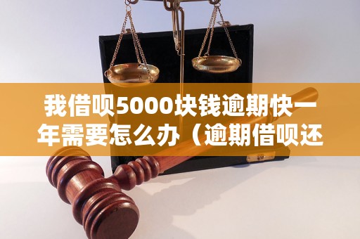 我借呗5000块钱逾期快一年需要怎么办（逾期借呗还款处理方法）