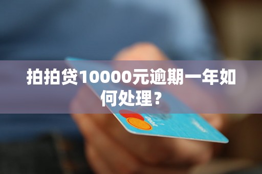 拍拍贷10000元逾期一年如何处理？