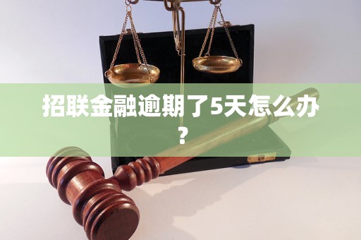 招联金融逾期了5天怎么办？