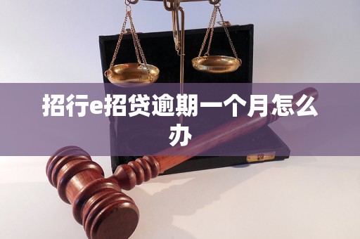 招行e招贷逾期一个月怎么办