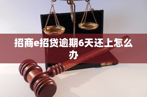 招商e招贷逾期6天还上怎么办