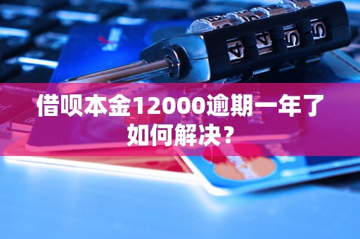 借呗本金12000逾期一年了如何解决？