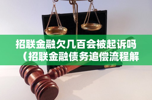 招联金融欠几百会被起诉吗（招联金融债务追偿流程解析）