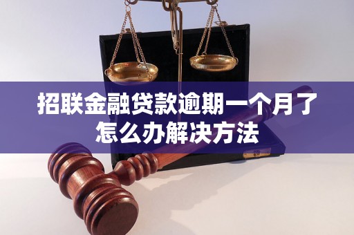 招联金融贷款逾期一个月了怎么办解决方法