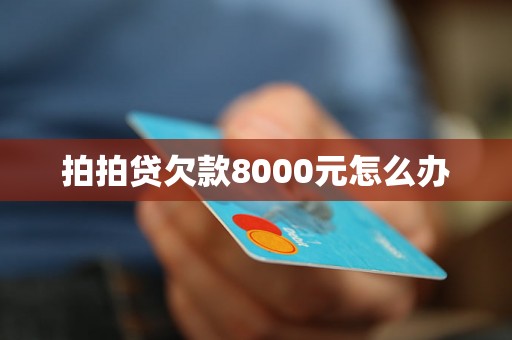 拍拍贷欠款8000元怎么办