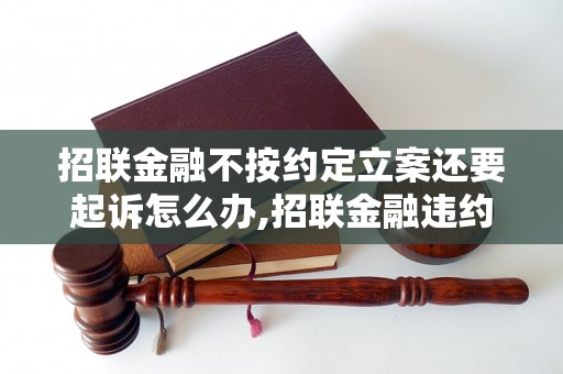 招联金融不按约定立案还要起诉怎么办,招联金融违约行为处理方法