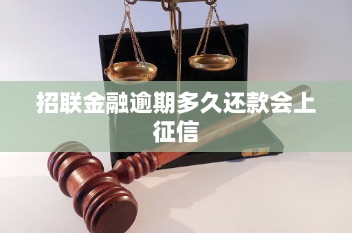 招联金融逾期多久还款会上征信