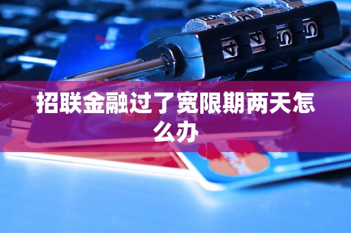 招联金融过了宽限期两天怎么办