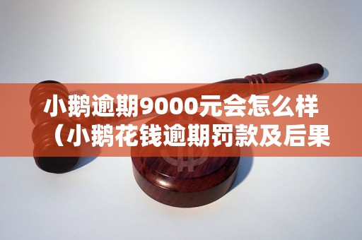 小鹅逾期9000元会怎么样（小鹅花钱逾期罚款及后果解析）