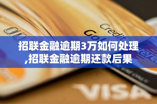 招联金融逾期3万如何处理,招联金融逾期还款后果