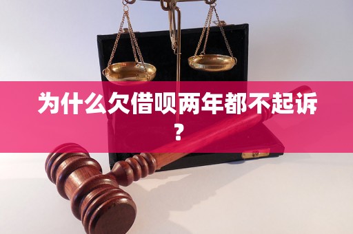 为什么欠借呗两年都不起诉？