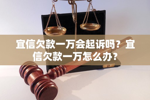 宜信欠款一万会起诉吗？宜信欠款一万怎么办？