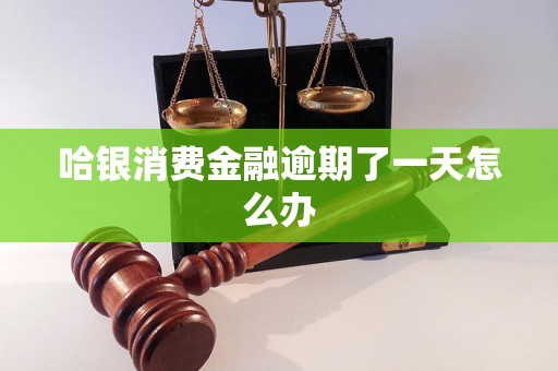 哈银消费金融逾期了一天怎么办